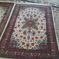 قالی زرنیم|فرش|ساروق, |دیوار