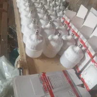 لامپ ب قیمت کارخانه