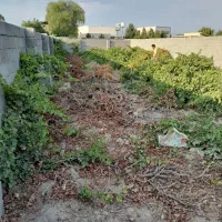 ۳۰۰مترزمین۴دیواری سهیلیه سنقرآبادخ ساحل اقساط