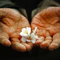 نیاز مند دو نفر نیروی کارگری