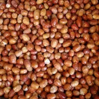 سنجد تازه شیرین|خوردنی و آشامیدنی|شاهین دژ, |دیوار
