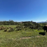 زمین بایر در روستای احمد سر گوراب|فروش زمین و ملک کلنگی|احمدسرگوراب, |دیوار