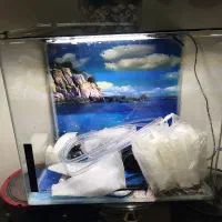 آکواریوم شیشه خم 60*40*40