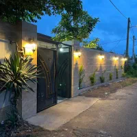 کوی-زیتون-ثمین3-جوانی-تک-واریز