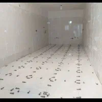 کاشی کاری،بین کابینت،سرامیک کاری،موزاییک،کاشیکار|خدمات پیشه و مهارت|اردبیل, |دیوار