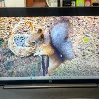 لپ تاپ|رایانه همراه|بندر انزلی, متروپل|دیوار