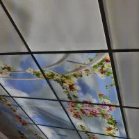 دکوراسیون داخلی اجرای کناف پیویسی پلکسی|خدمات پیشه و مهارت|مریوان, |دیوار