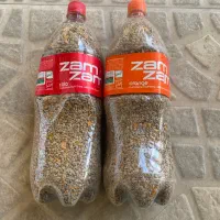 بذر گوجه فرنگی|عمده‌فروشی|پارس‌آباد, |دیوار