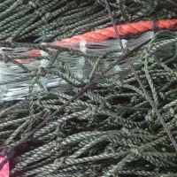 تک تور|ماهیگیری|بوشهر, |دیوار