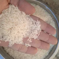 واردات عمده برنج از مرز باشماق|خوردنی و آشامیدنی|تهران, اتحاد|دیوار