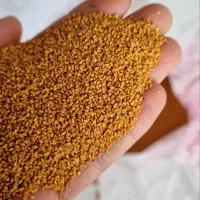 بذر بوجاری شده کاملینا