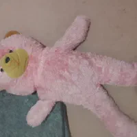 خرس بزرگ