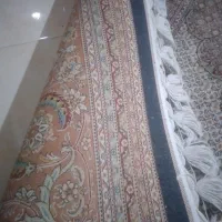 فرش|فرش|تاکستان, |دیوار