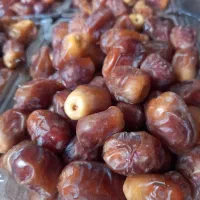 خرما زاهدی