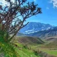 مسافرت وتفریح و طبیعت