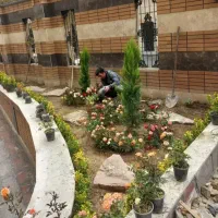 خدمات باغبانی ،هرس کاری،سمپاشی در سراسر مشهد