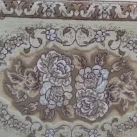 دو جفت پشتی