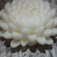 شمع داودی|صنایع دستی و سایر لوازم تزئینی|تهران, مجیدیه|دیوار