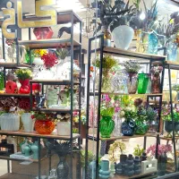 دکوری و کادویی کاخ|صنایع دستی و سایر لوازم تزئینی|بندرعباس, |دیوار