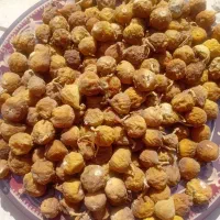 انجیر