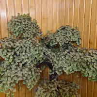 درختچه مصنوعی