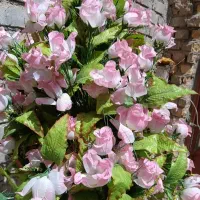 گل مصنوعی  ۲۵۰هزار