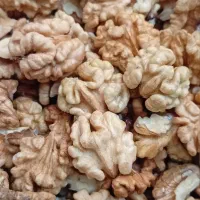 مغز گردو درجه یک
