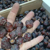 خرمای آجیلی و کاملا گوشتی مرداسنگ