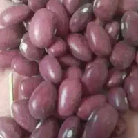 فروش لوبیا قرمز بوجاری شده