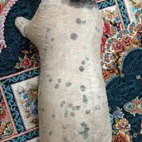 خیگ روغنی
