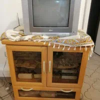 تلویزیون