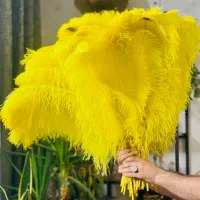 پر علامتی عمده فروشی