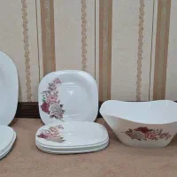 ظروف آرکوپال وچینی