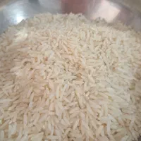 برنج هاشمی