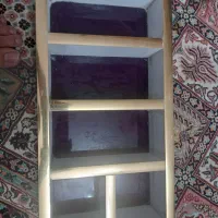 جا عینکی و.. چوبی