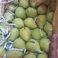 میز میوه فروشی