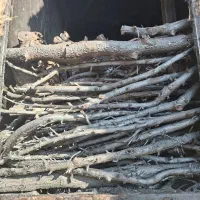 ذغال کبابی قلم