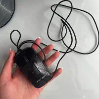 ماوس معمولی