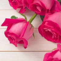 نیازمندضامن وام فرزندآوری