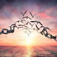 قطع مصرف مواد در ۷۲ ساعت