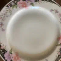 ۶عددبشقاب و‌دوعدد دیس
