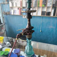 گجوان سه ساله سالم