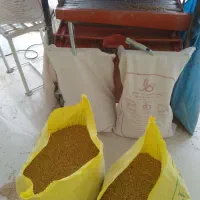 گ ن د م دیم بجاری
