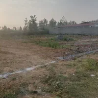 زمین مسکونی فلکده|فروش زمین و ملک کلنگی|رشت, چله خانه|دیوار