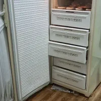 فریزر بارس. هفت کشو