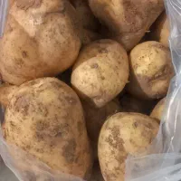 سیب زمینی تازه زرد همدان درجه یک بشرط|خوردنی و آشامیدنی|چهارباغ, |دیوار