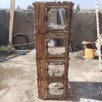 جفت کن کفتر|لوازم جانبی حیوانات|زارچ, |دیوار