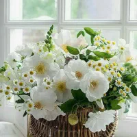استخدام در چاپخانه