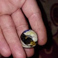 سکه ومهره|کلکسیون سکه، تمبر، اسکناس|ورامین, شهرک مدرس|دیوار