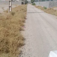 گلخانه/شهرک گلفام